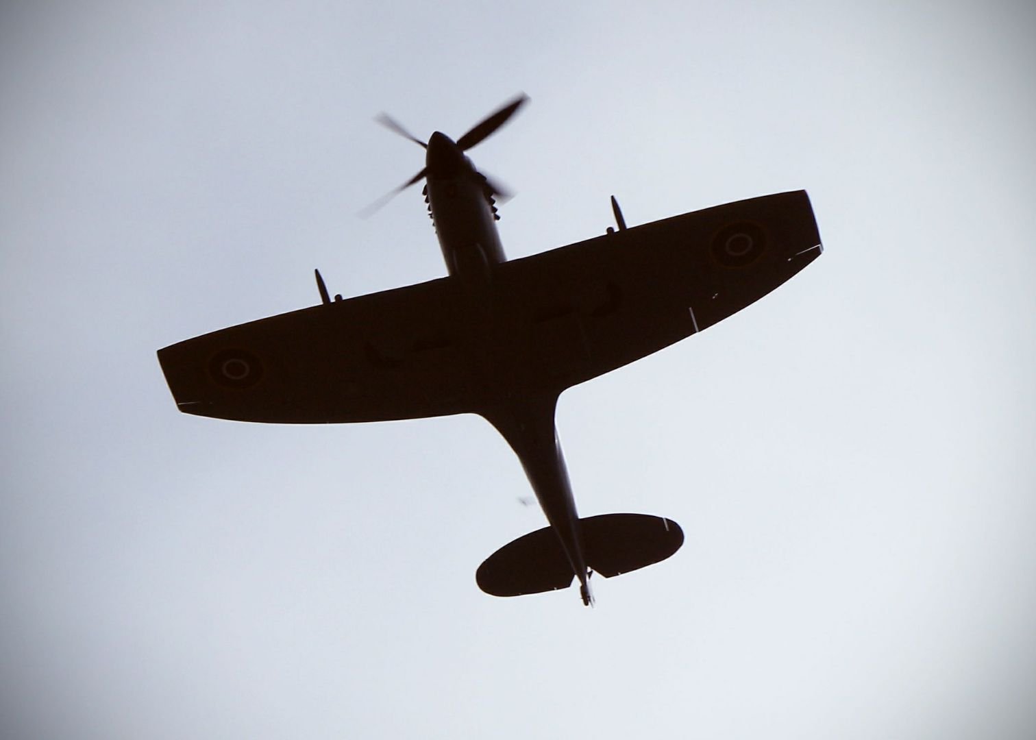 Spitfire Silhouette.jpg