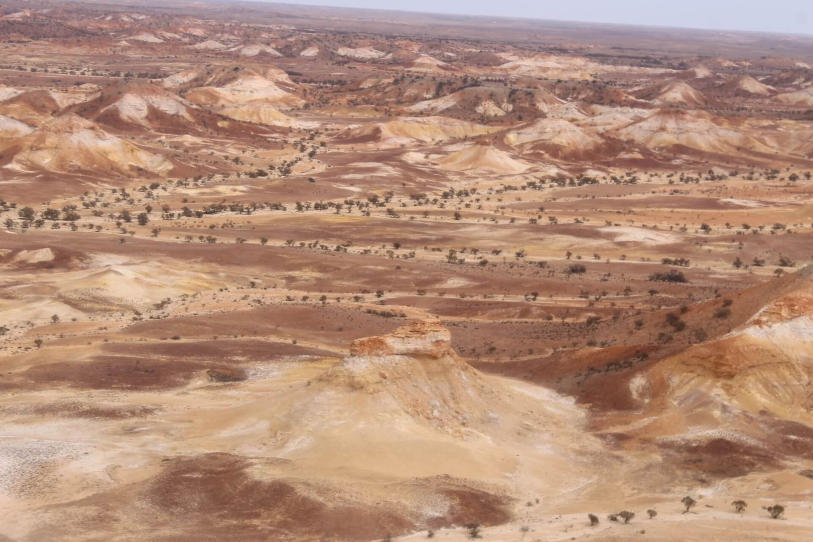 Crocodile Rock, Painted Hills.JPG