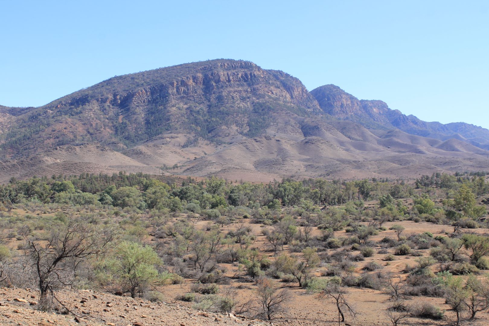 Flinders Ranges.JPG